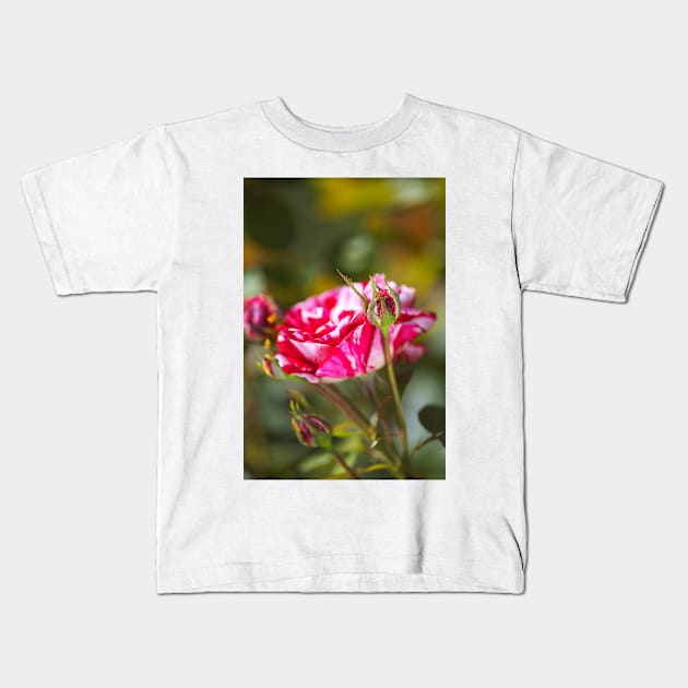 Variegated Rose And Buds Kids T-Shirt by Joy Watson